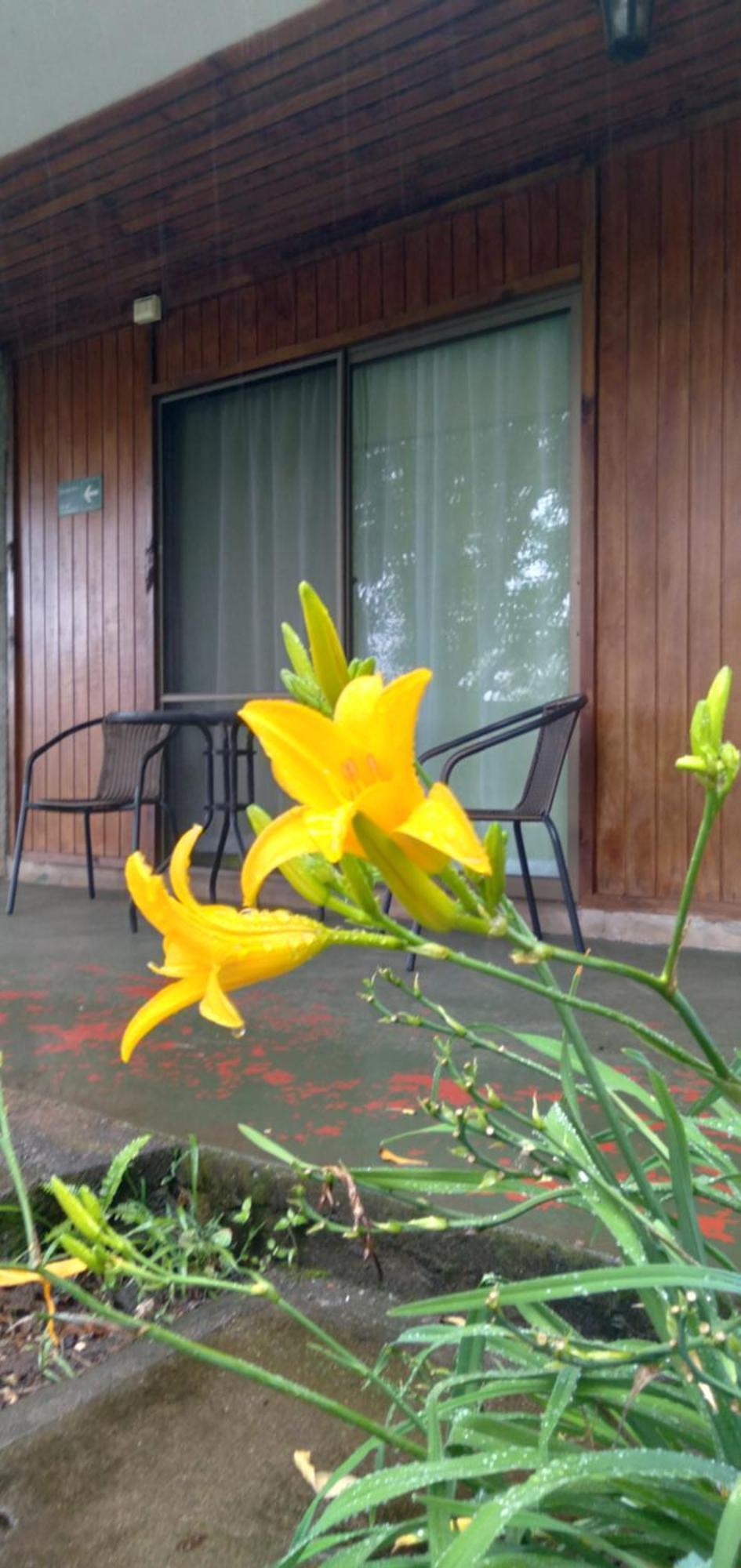 הנגה רואה Hostal Tu'U Koihu מראה חיצוני תמונה