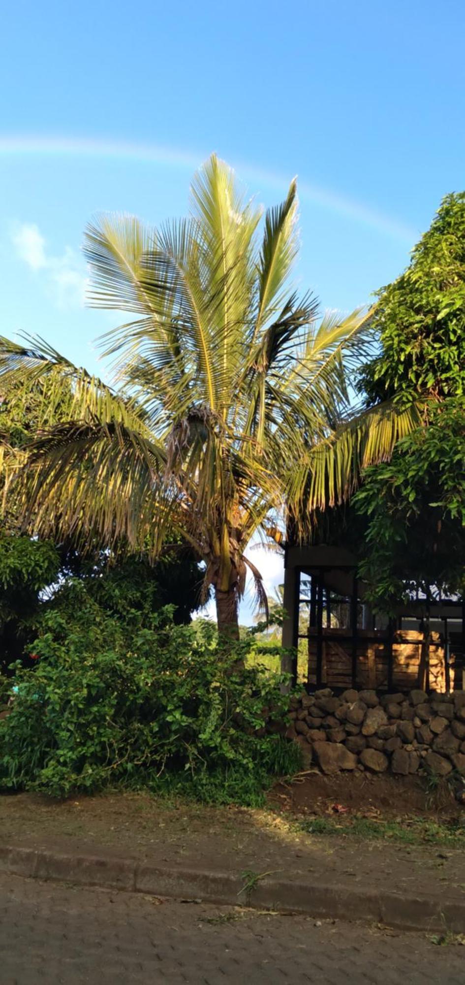הנגה רואה Hostal Tu'U Koihu מראה חיצוני תמונה